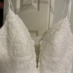 Meet your Posher, Marlene